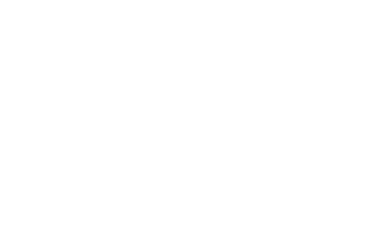 Rail